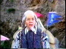 実写版リアルドラゴンボール亀仙人